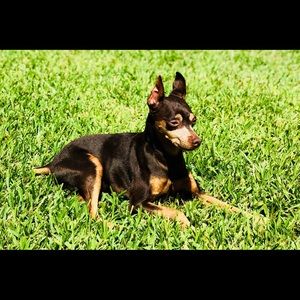 Meet your Posher, Robyn